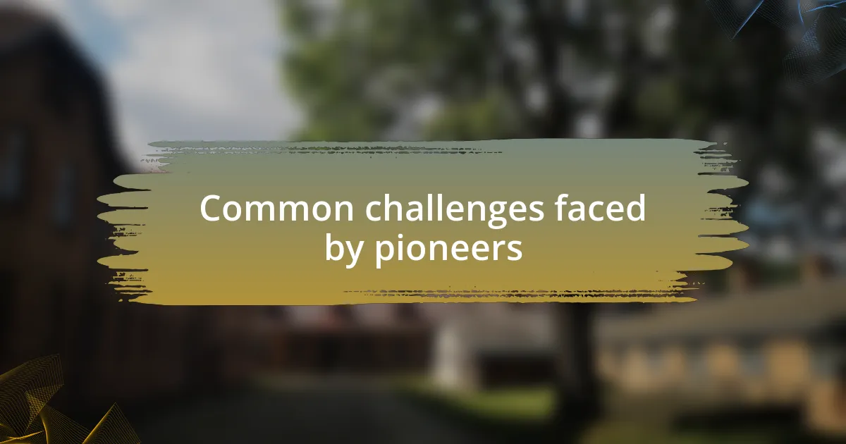 Common challenges faced by pioneers