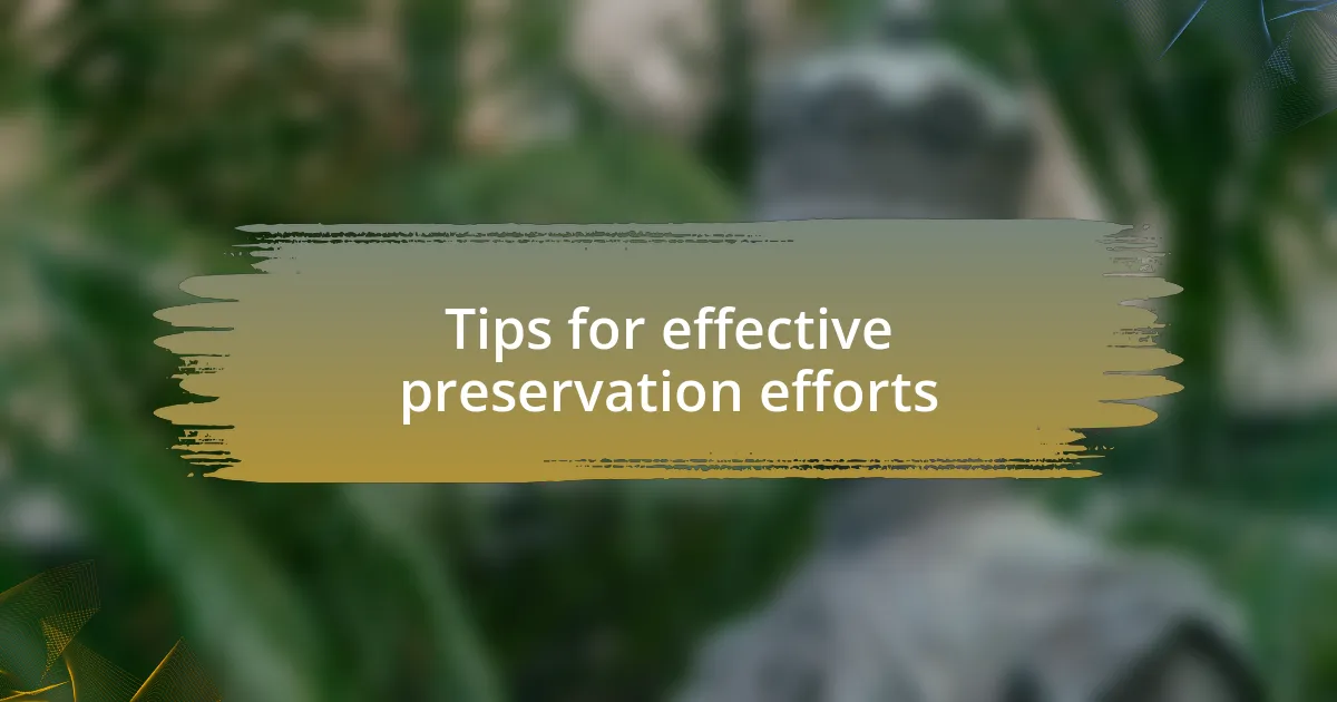 Tips for effective preservation efforts